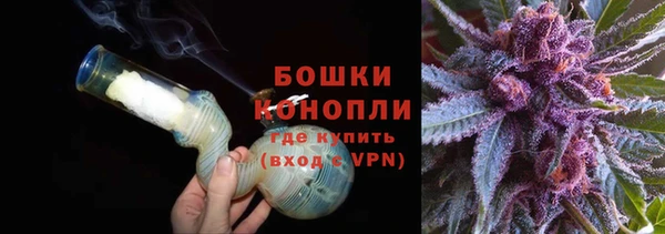сатива Белоозёрский