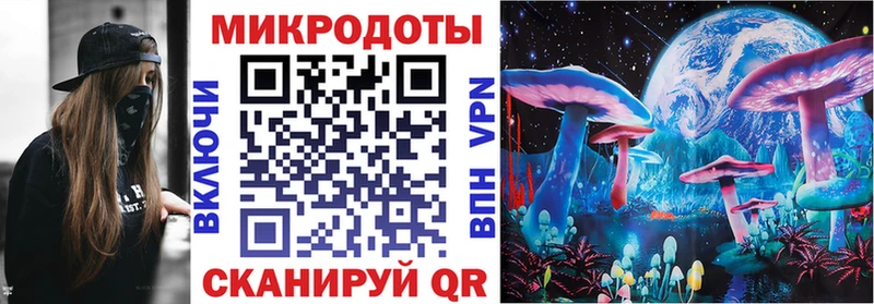 Псилоцибиновые грибы Psilocybine cubensis  omg   Дюртюли  как найти наркотики 